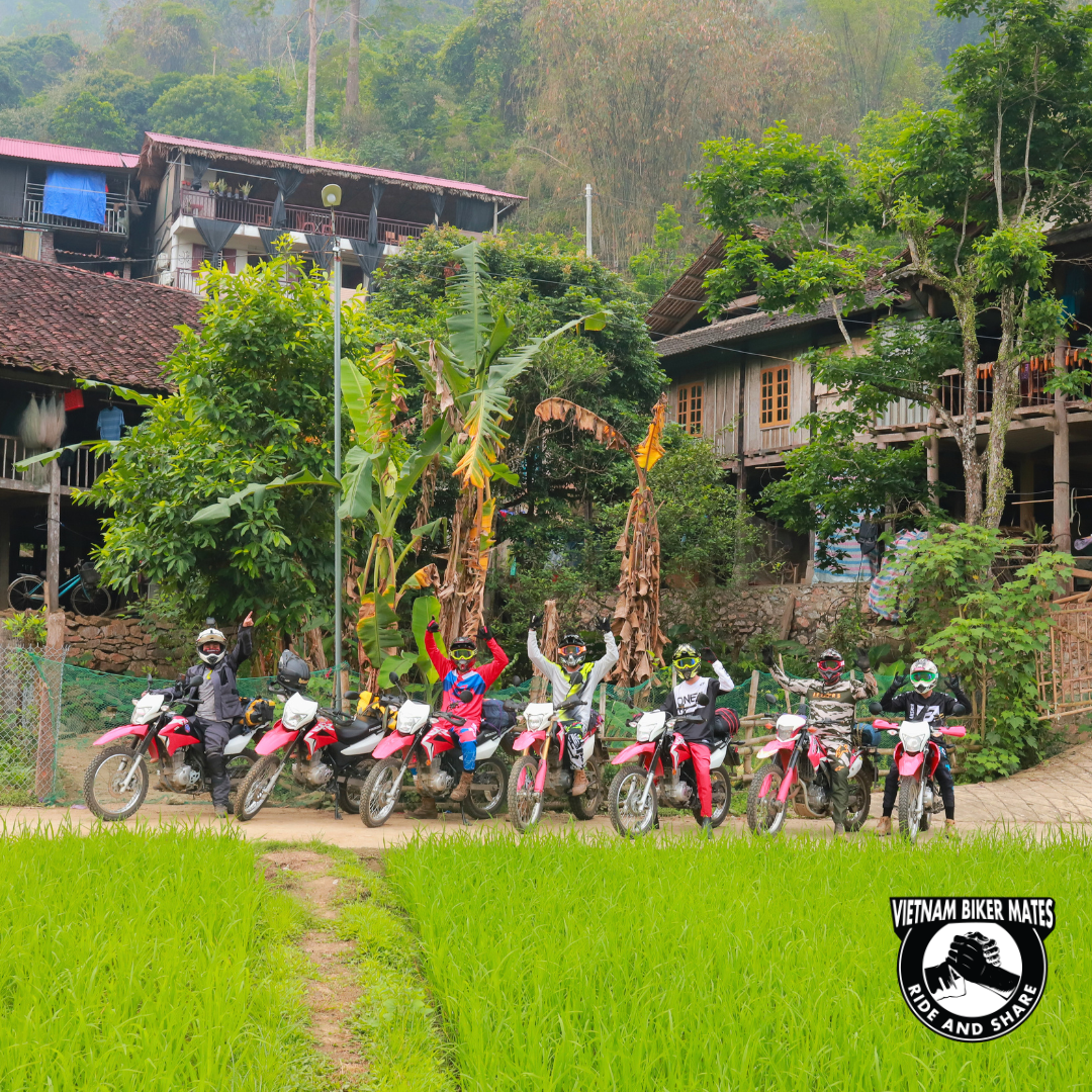 VIetnam homestay surrounded by green rice fields